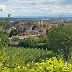 Zum Alten Buchbinder شقة Guntersblum