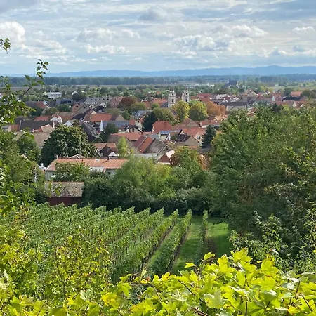 Zum Alten Buchbinder Appartement Guntersblum