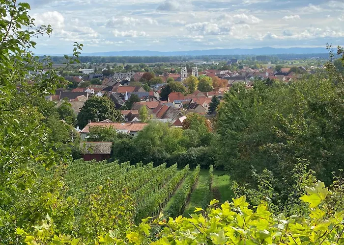Zum Alten Buchbinder Apartamento Guntersblum